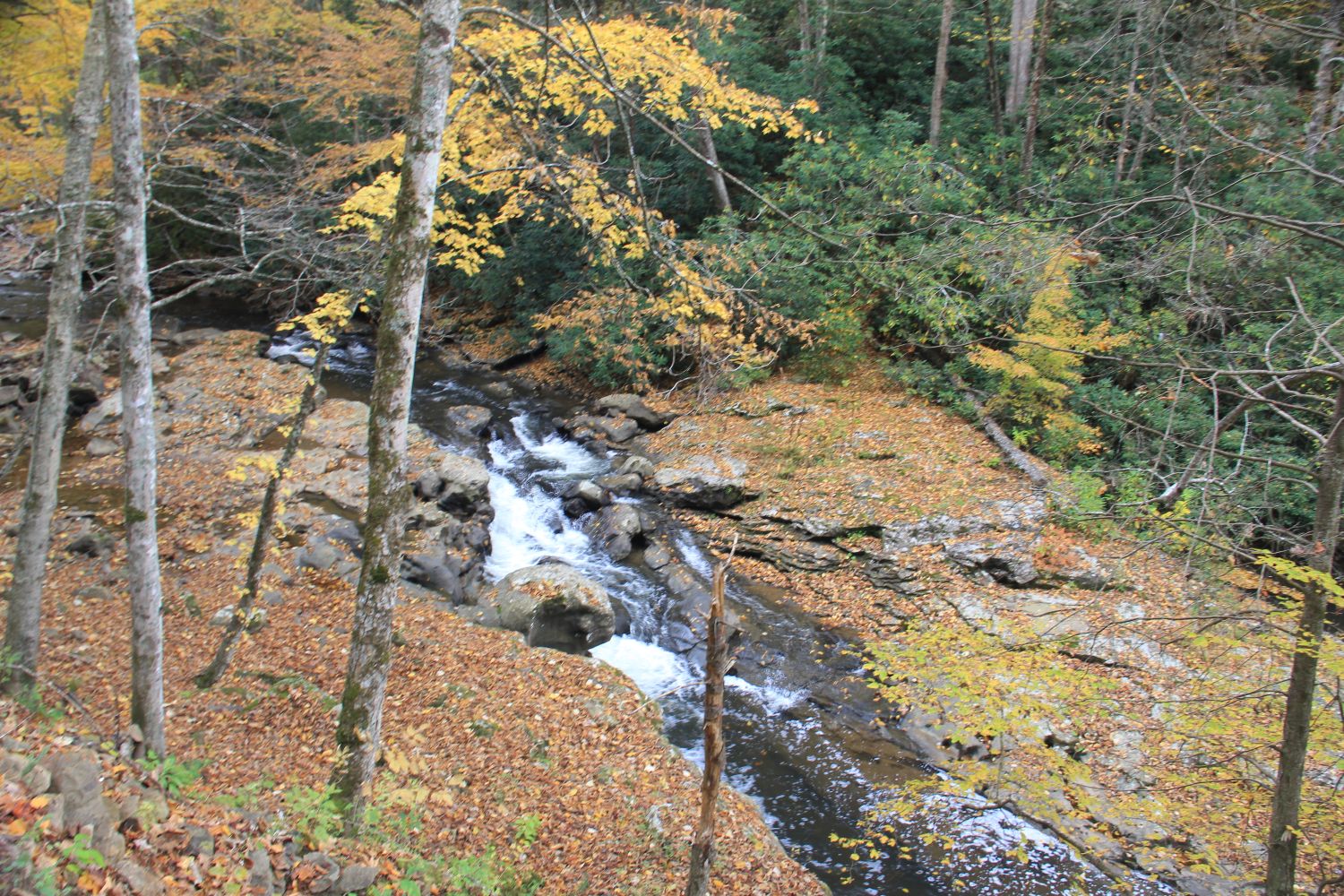 Glade Creek Trail 